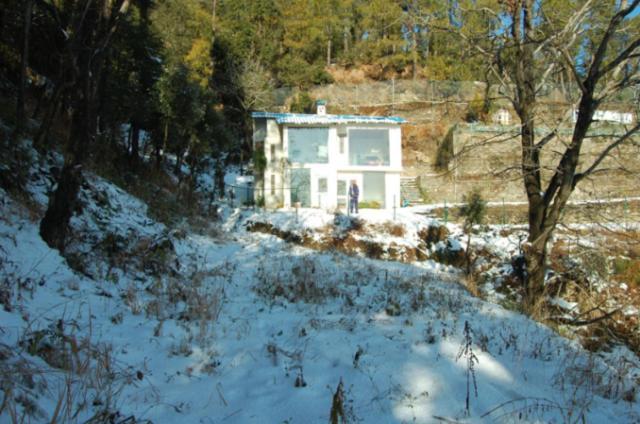 Natureraga Fernhill Resort Chail Dış mekan fotoğraf
