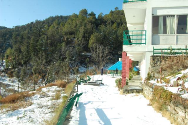 Natureraga Fernhill Resort Chail Dış mekan fotoğraf