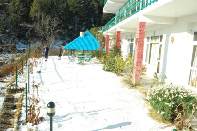 Natureraga Fernhill Resort Chail Dış mekan fotoğraf