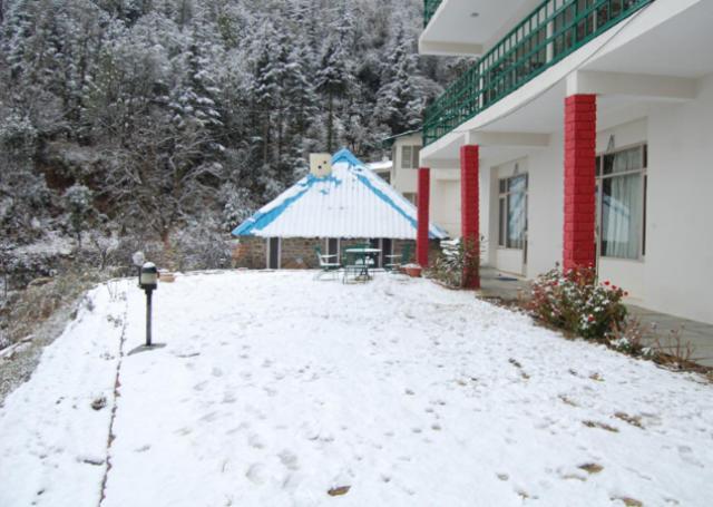 Natureraga Fernhill Resort Chail Dış mekan fotoğraf