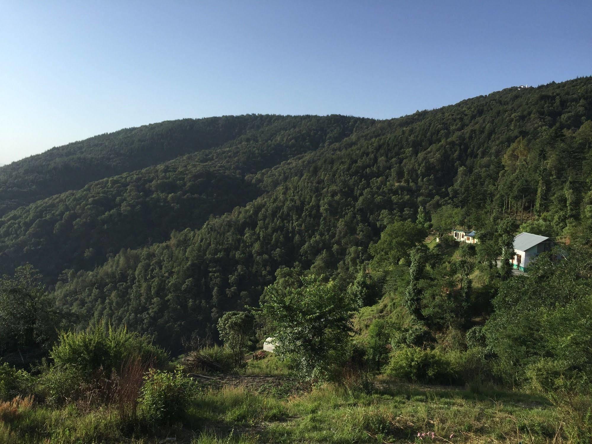 Natureraga Fernhill Resort Chail Dış mekan fotoğraf