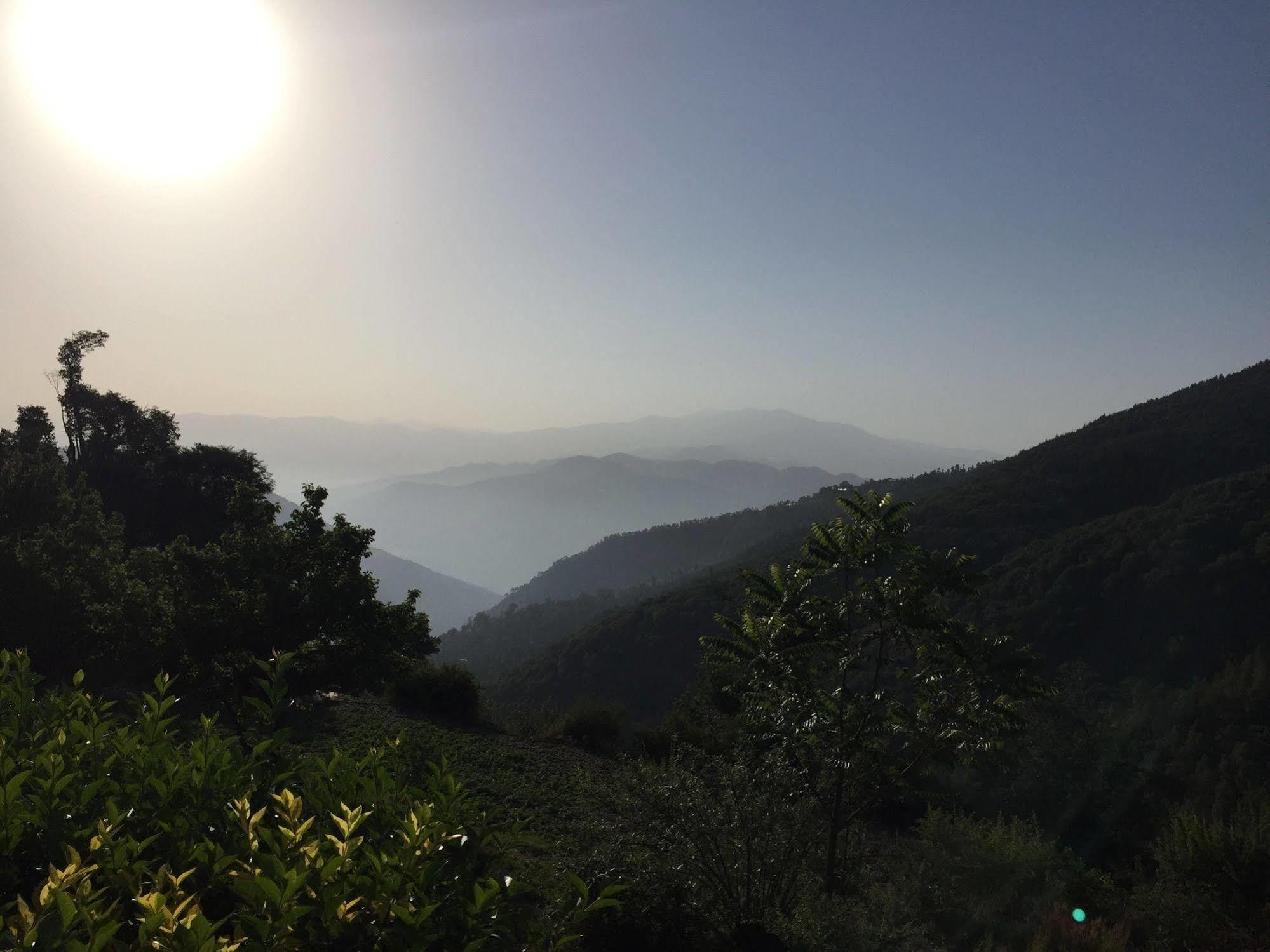 Natureraga Fernhill Resort Chail Dış mekan fotoğraf